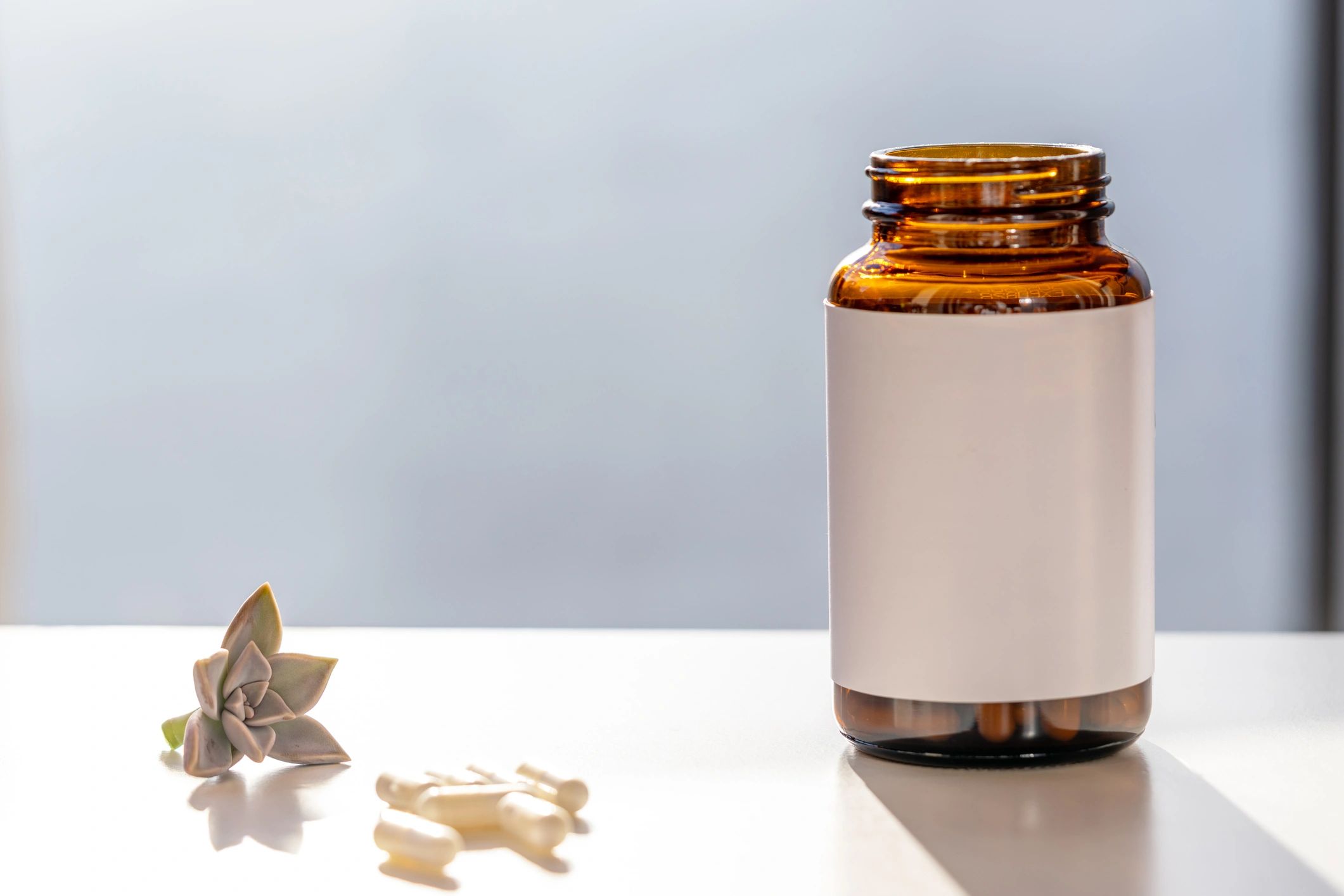 Bottle, Capsules, Succulent